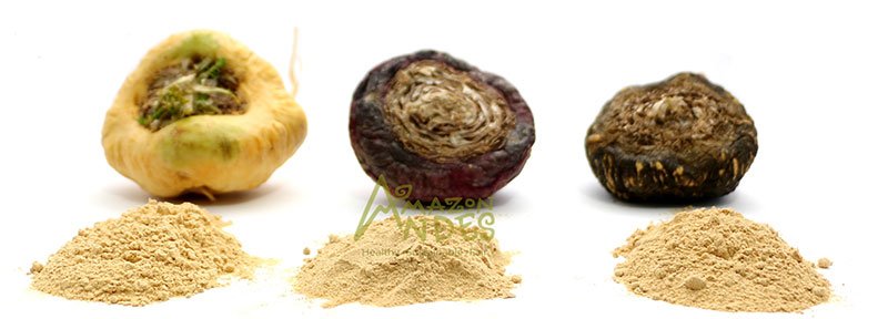 Buy Maca powder online from “Amazon Andes Export”