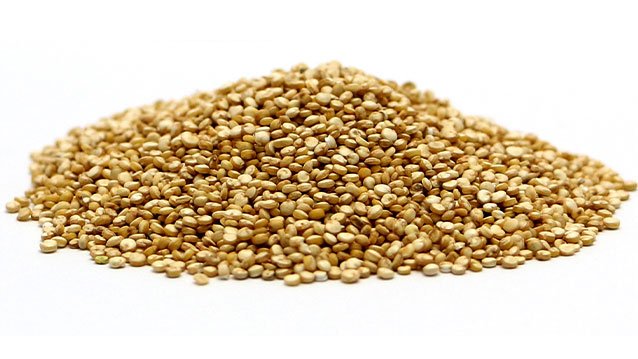 quinoa powder supplier